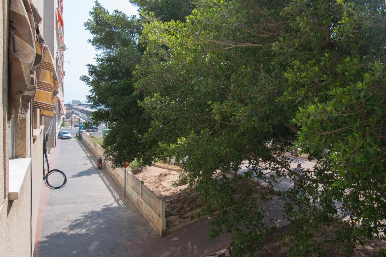 113 Beach And Trees - Alicante Holiday 托雷维耶哈 外观 照片