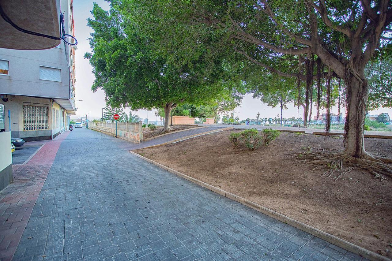 113 Beach And Trees - Alicante Holiday 托雷维耶哈 外观 照片